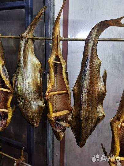 Хариус Очень вкусный Доставка по городу