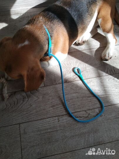 Поводок -контроллер