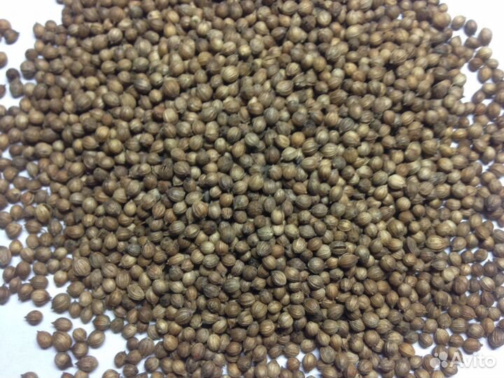 Семена однолетних многолетних трав растений