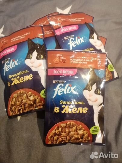 Влажный корм для кошек