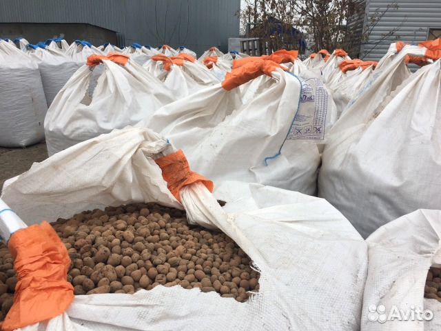 Цемент М400; М500