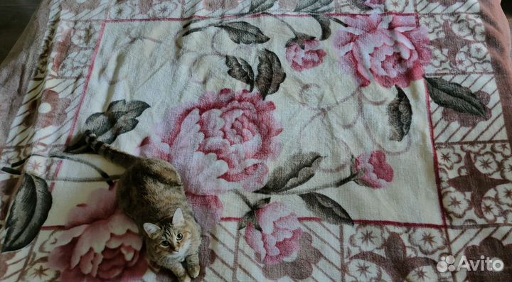 Плед покрывало