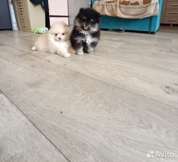 Девочки и мальчики