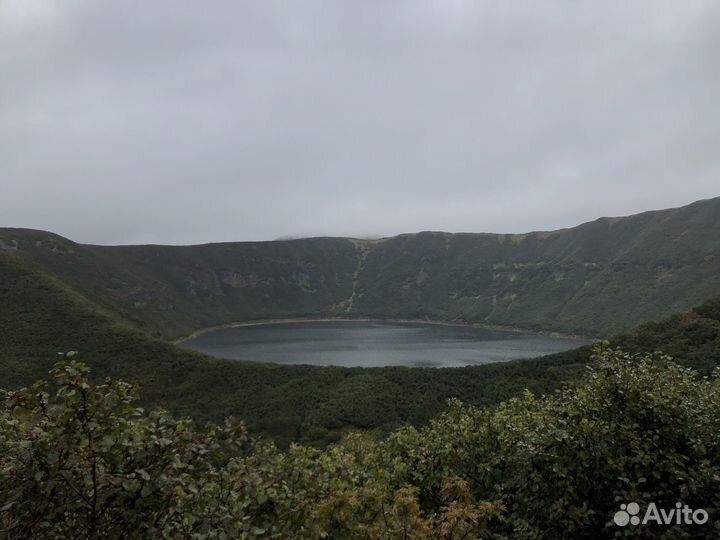 Аренда авто с водителем