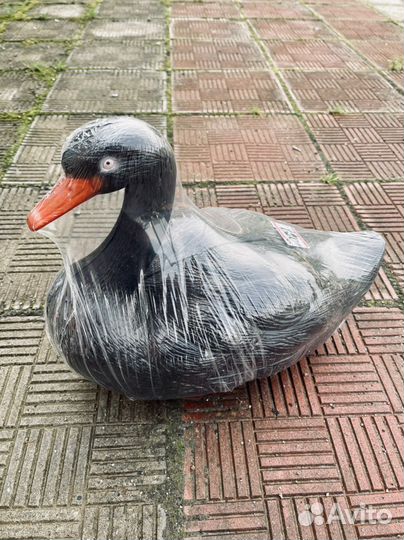 Садовые фигуры водоплавающие в пруд