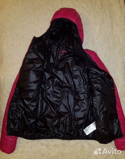 Куртка спортивная женская Cygnus 42