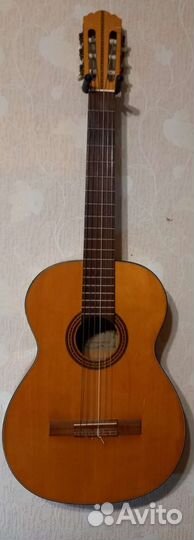 Классическая гитара из гдр, Musima