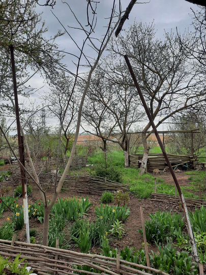 Дом 68 м² на участке 27 сот.