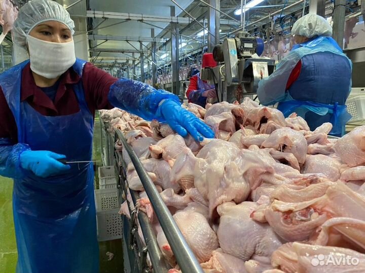 Разнорабочий на птицефабрику