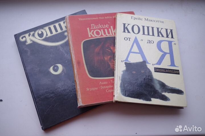 3 книги энциклопедии про кошек больших и маленьких