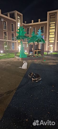 Кролик