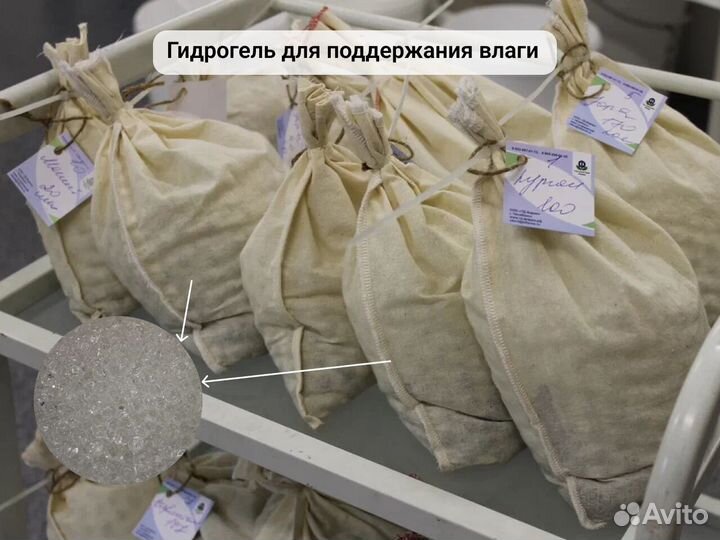 Пиявки для гирудотерапии. Сертифицированные