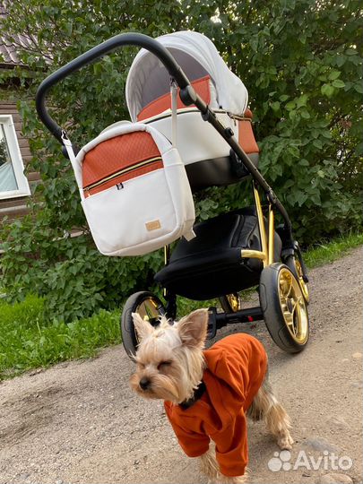 Коляска 2 в 1 Ray Agix