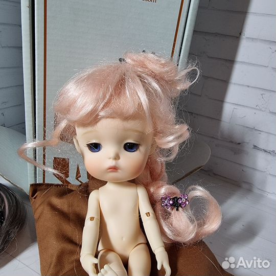 Бжд secretdoll Mong