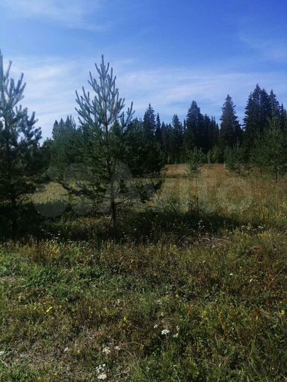 Участок 15 сот. (ИЖС)