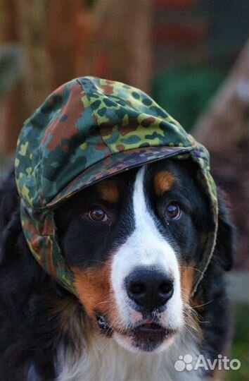 Шапка BW оригинал новая