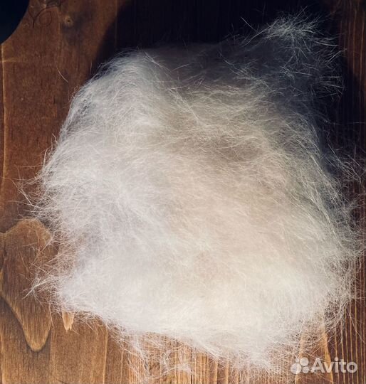 Собачья шерсть. Палевый лабрадор