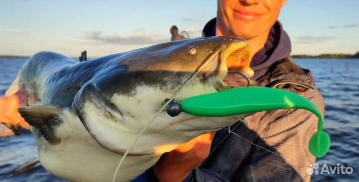 Рыбалка с гидом на Иваньковском водохранилище