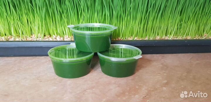 Витграсс для восстановление организма