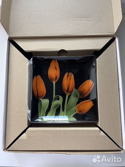 Набор тарелок arcofam