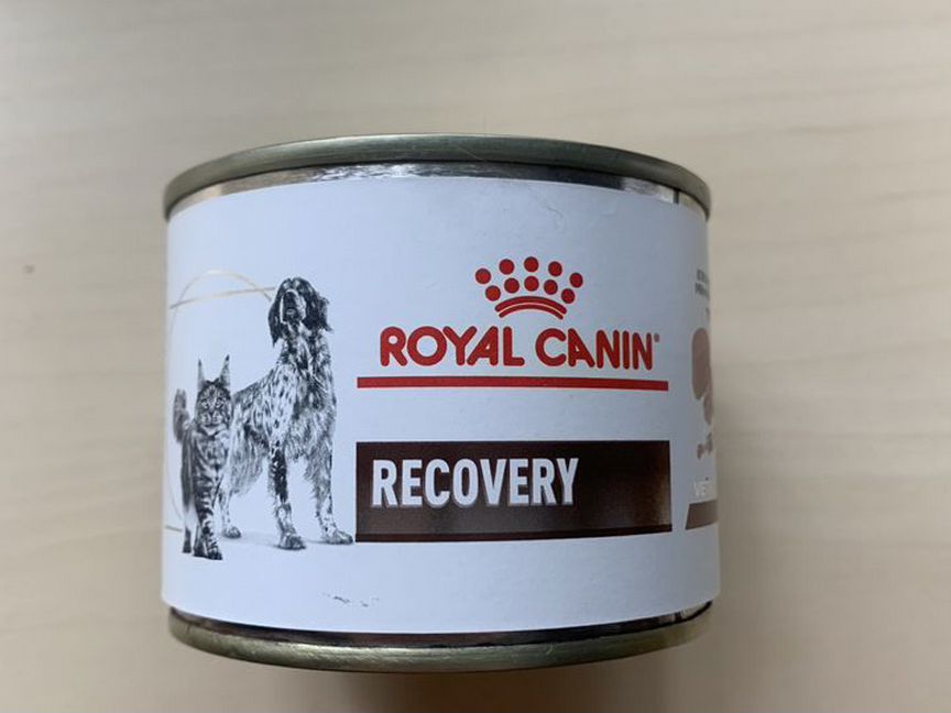 Royal Canin Recovery