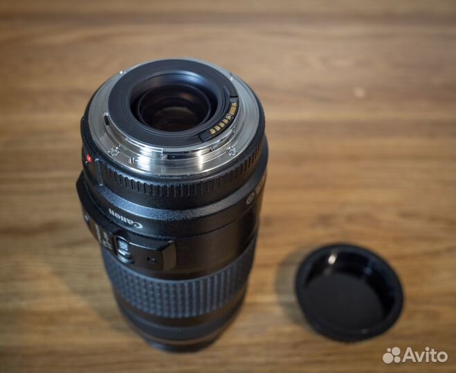 Canon EF 70-300mm f/4-5.6 IS USM