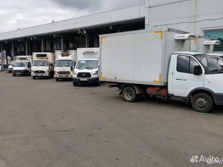 Работа, рейсы для рефрижераторов от 1 до 3 тонн