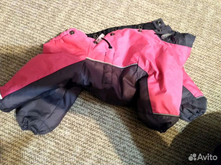 Дождевик для маленькой собаки