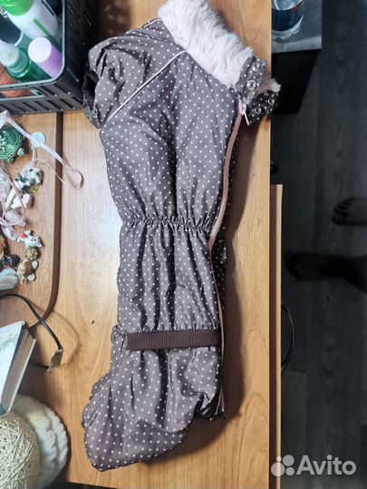 Комбинезон для собаки