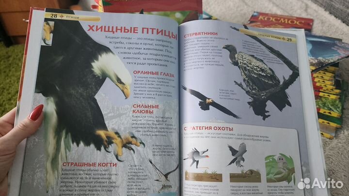 Энциклопедия для детей