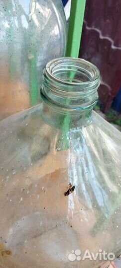 Бутыль стекло 20 литров