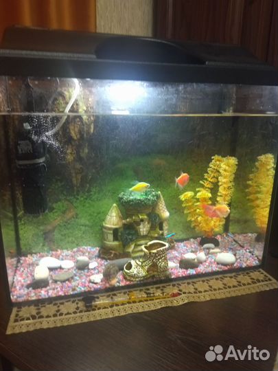 Аквариум