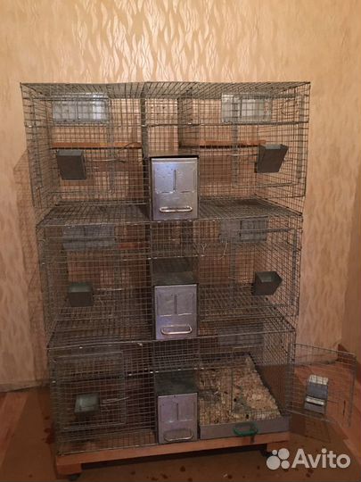 Клетка для шиншиллы