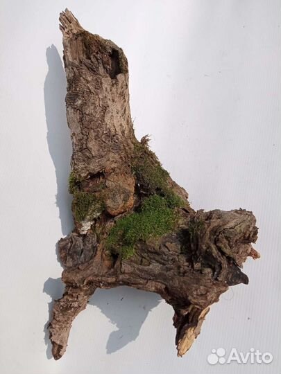 Коряги для декора или террариума, аквариума