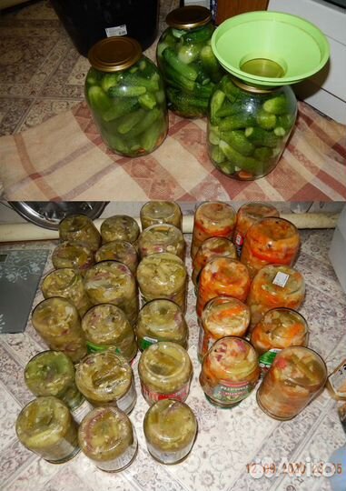 Соления,кабачки,суш.яблоки,грибы,яйца,ягоды свежие