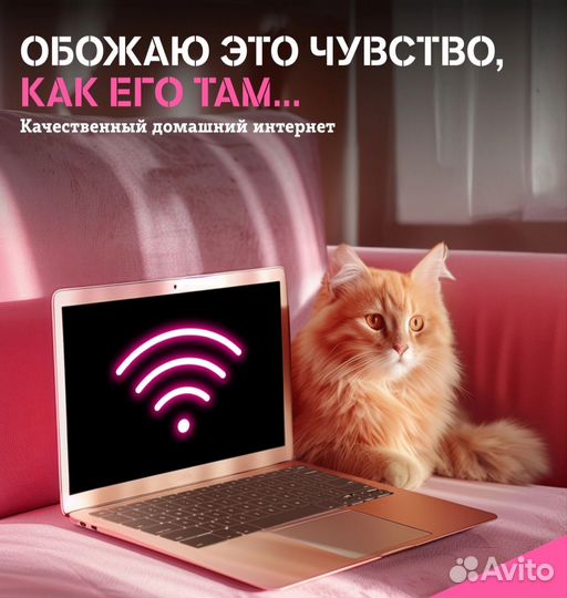 Бесплатный домашний интернет от т2