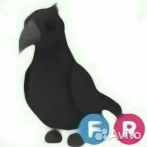 Ворон адопт ми