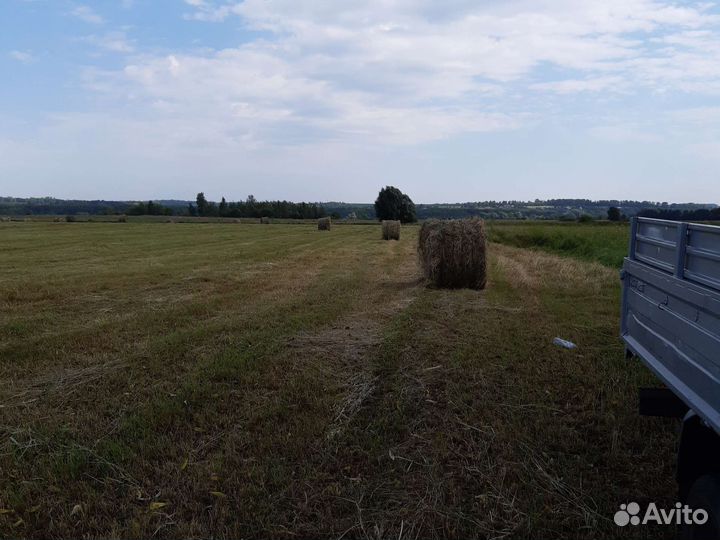 Сено в рулонах 2023