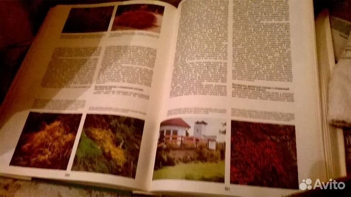 Энциклопедия СССР выращивания без химии