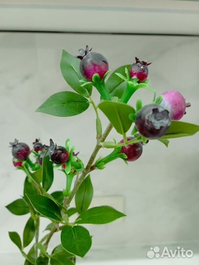 Ветка с ягодами реалистичная