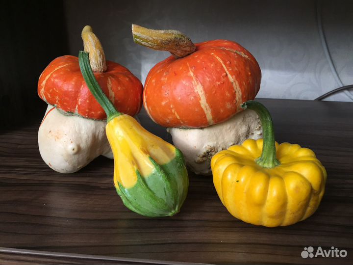 Продам тыквы