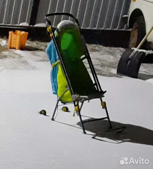 Детские санки