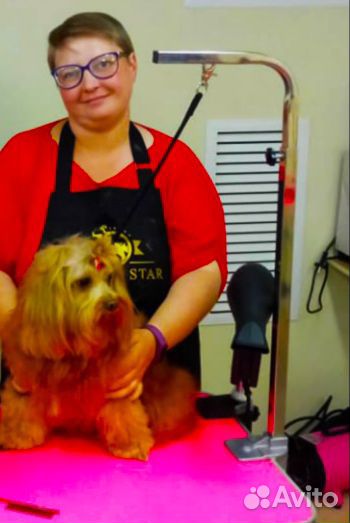 Груминг собак и кошек