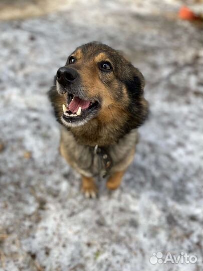 Меня предали