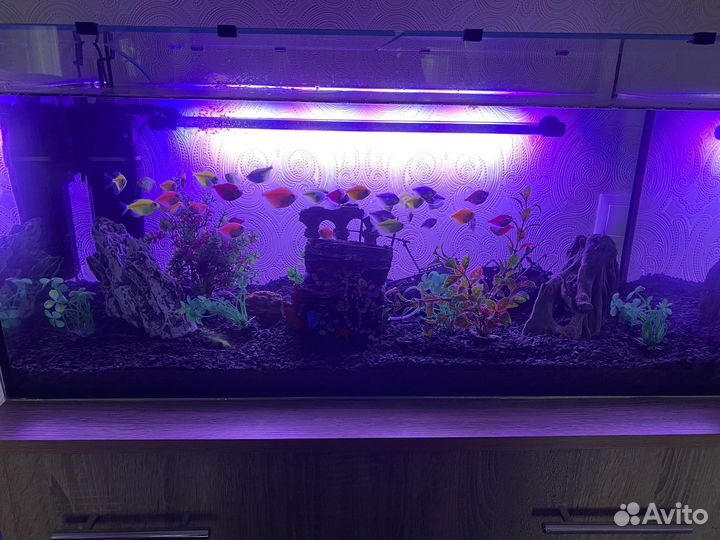 Аквариум со всем оборудованием