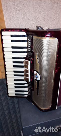 Аккордеон 