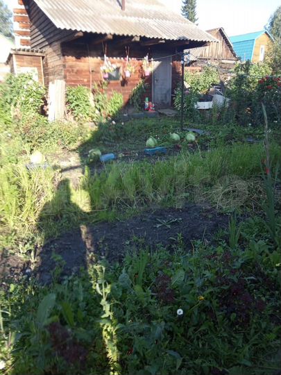 Дом 43 м² на участке 9 сот.