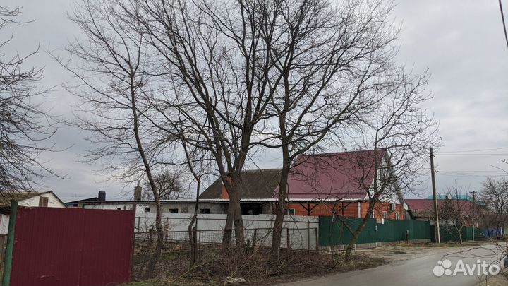 Спил деревьев