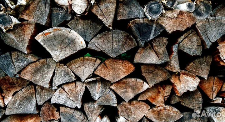 Дрова в область