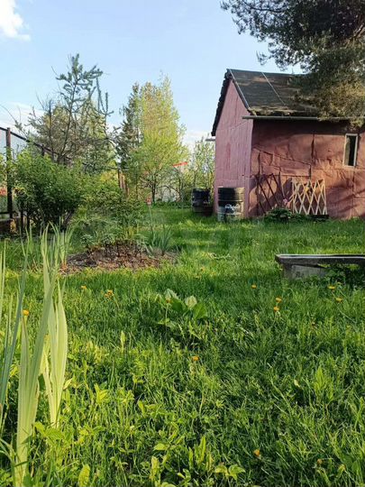 Участок 4,6 сот. (СНТ, ДНП)